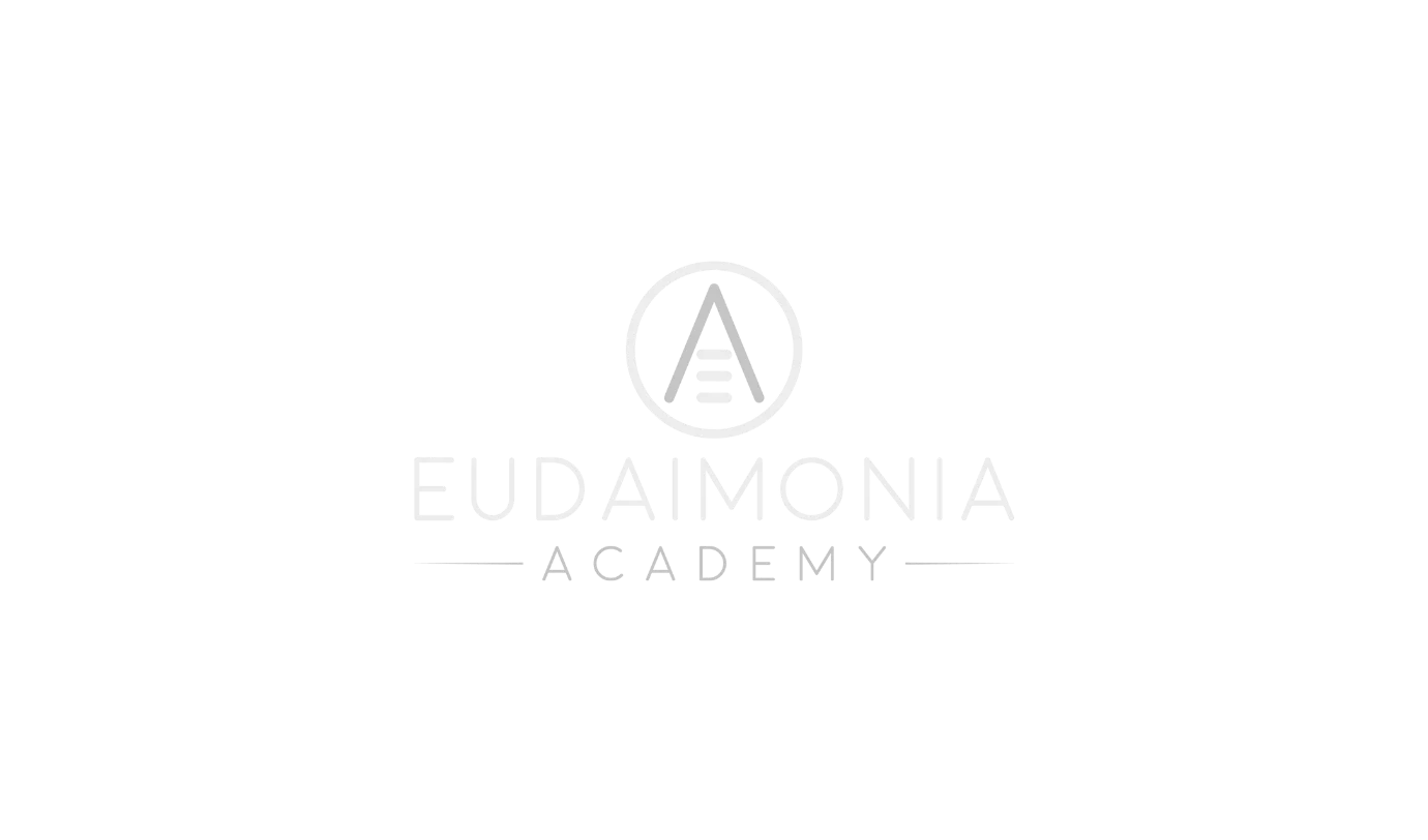 Made in Entropixel - Company and brands 16