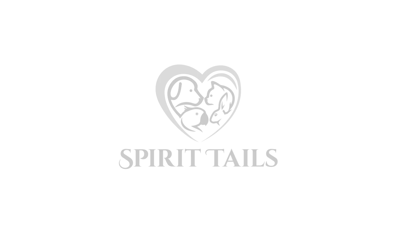 Made in Entropixel - Company and brands 6